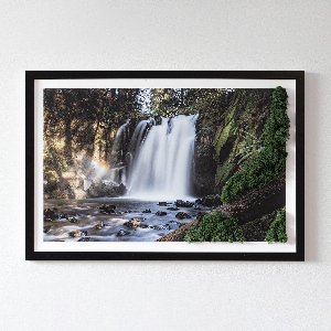 Moss wall art Waterfall surrounded by trees