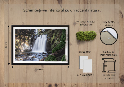 Moss wall art Waterfall surrounded by trees