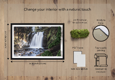 Moss wall art Waterfall surrounded by trees