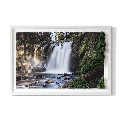 Moss wall art Waterfall surrounded by trees