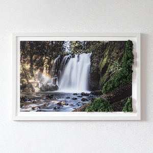 Moss wall art Waterfall surrounded by trees