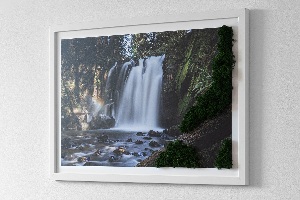 Moss wall art Waterfall surrounded by trees