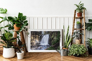 Moss wall art Waterfall surrounded by trees