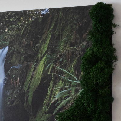 Moss wall art Waterfall surrounded by trees