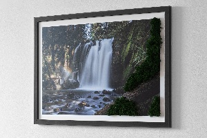 Moss wall art Waterfall surrounded by trees