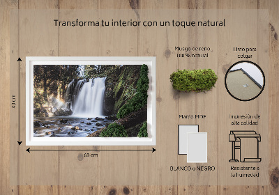 Moss wall art Waterfall surrounded by trees
