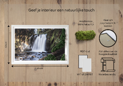 Moss wall art Waterfall surrounded by trees