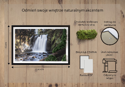 Moss wall art Waterfall surrounded by trees