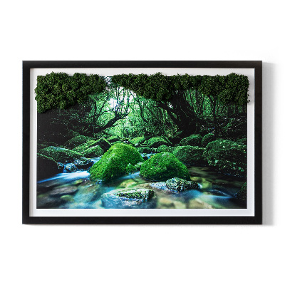 Live moss wall art River in the middle of the forest