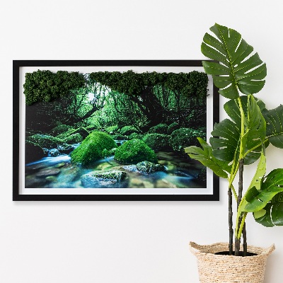 Live moss wall art River in the middle of the forest