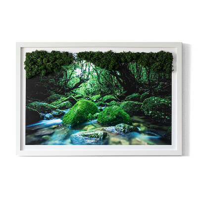 Live moss wall art River in the middle of the forest