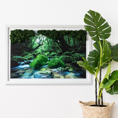 Live moss wall art River in the middle of the forest