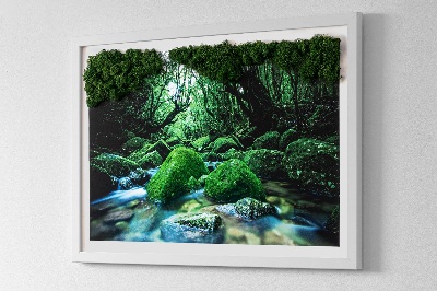Live moss wall art River in the middle of the forest