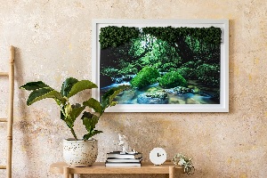 Live moss wall art River in the middle of the forest