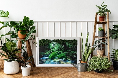 Live moss wall art River in the middle of the forest