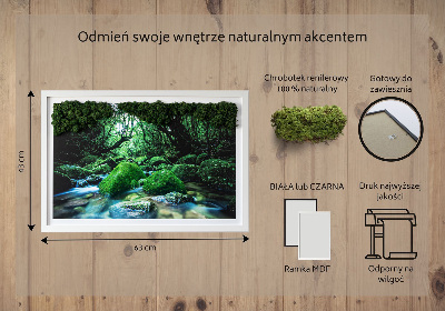 Live moss wall art River in the middle of the forest