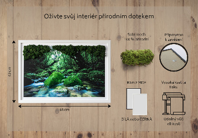 Live moss wall art River in the middle of the forest