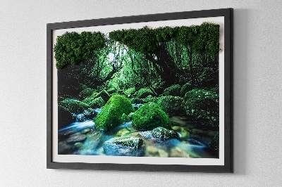 Live moss wall art River in the middle of the forest