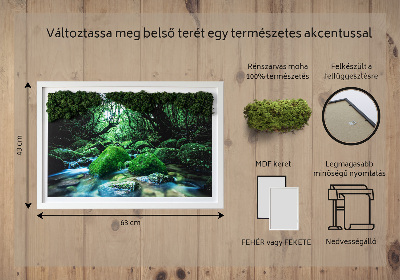 Live moss wall art River in the middle of the forest