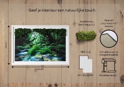 Live moss wall art River in the middle of the forest