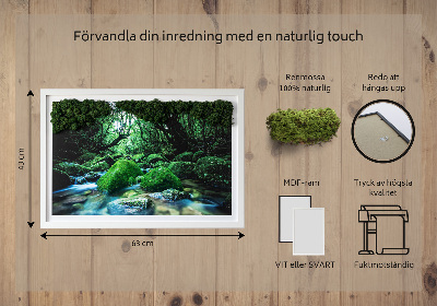 Live moss wall art River in the middle of the forest