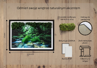 Live moss wall art River in the middle of the forest