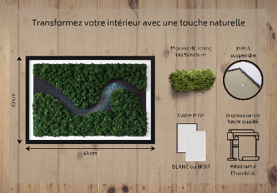 Moss wall art River in the Forest