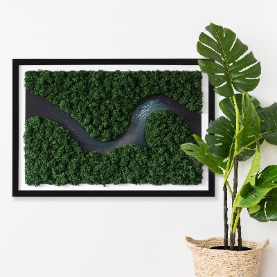 Moss wall art River in the Forest