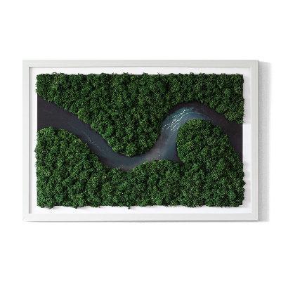Moss wall art River in the Forest