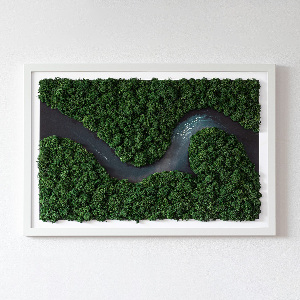 Moss wall art River in the Forest