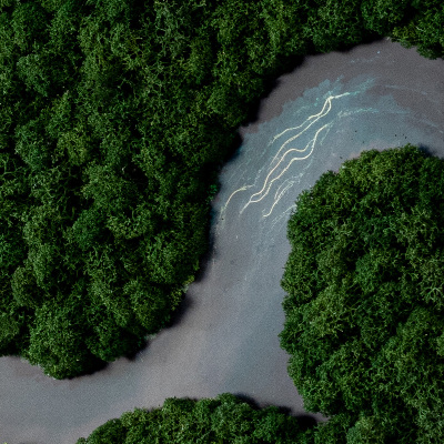 Moss wall art River in the Forest