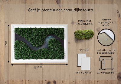 Moss wall art River in the Forest