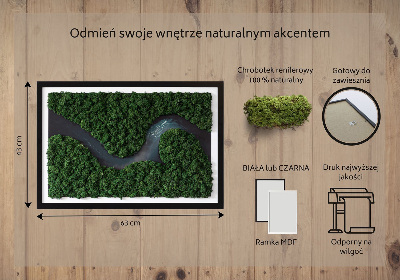 Moss wall art River in the Forest