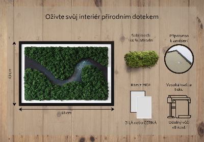 Moss wall art River in the Forest