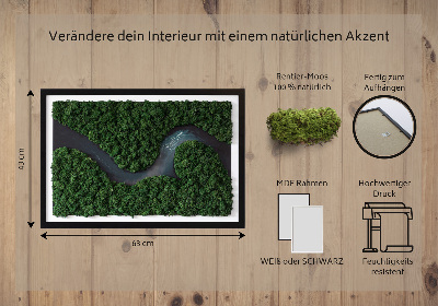 Moss wall art River in the Forest