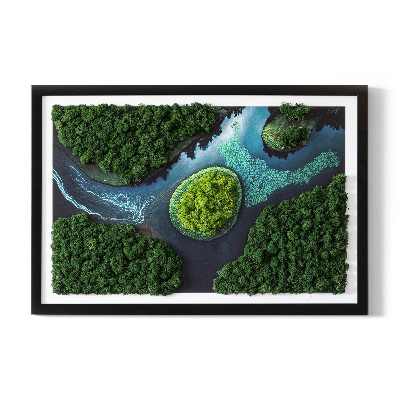 Moss wall art Island on the backwaters