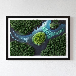 Moss wall art Island on the backwaters