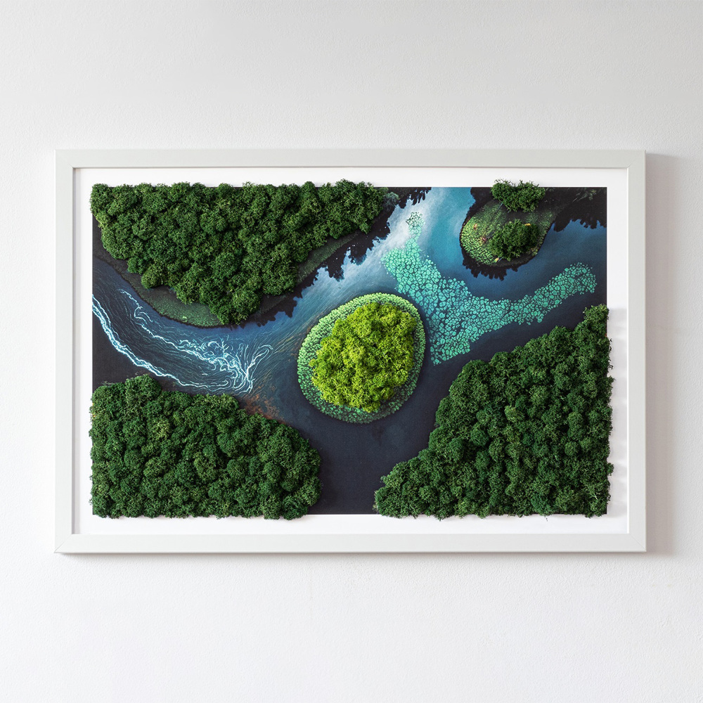 Island on the backwaters - Moss wall art