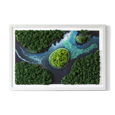 Moss wall art Island on the backwaters