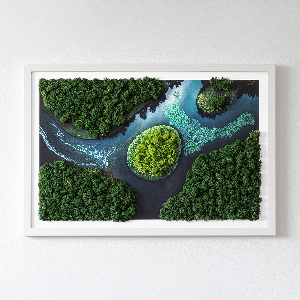 Moss wall art Island on the backwaters