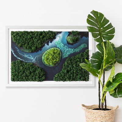 Moss wall art Island on the backwaters
