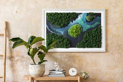 Moss wall art Island on the backwaters