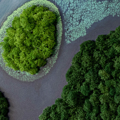 Moss wall art Island on the backwaters