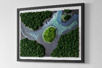 Moss wall art Island on the backwaters