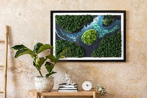 Moss wall art Island on the backwaters