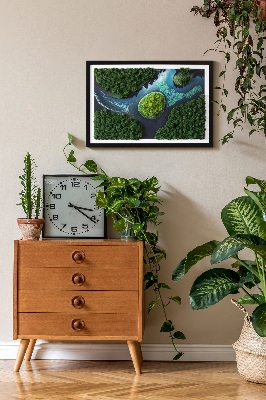 Moss wall art Island on the backwaters