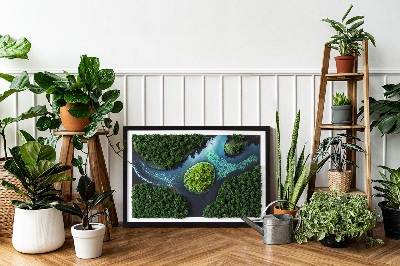 Moss wall art Island on the backwaters