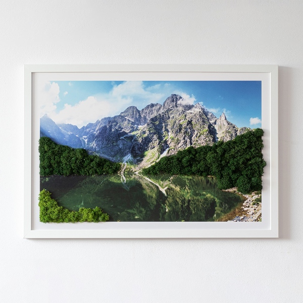 Living moss wall art Tatra Mountains - Morskie Oko