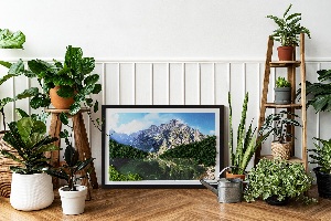 Living moss wall art Tatra Mountains - Morskie Oko