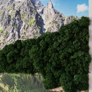 Living moss wall art Tatra Mountains - Morskie Oko